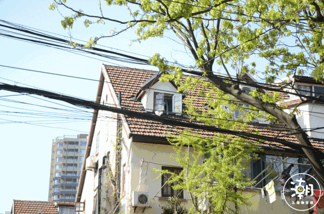 1542677825213396.gif 微信图片_20181116102347.gif