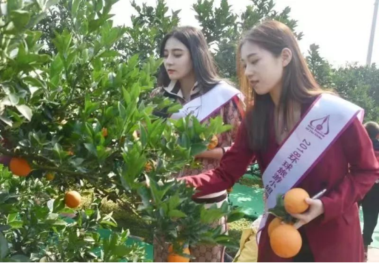 1543829734996254.png blob.png