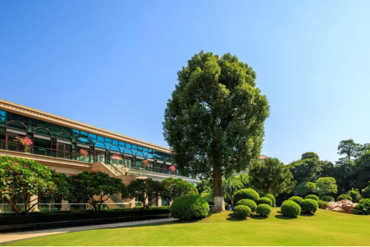 1544063519241175.png blob.png